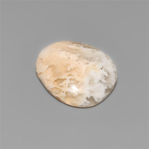 Northridge Plume Agate Cabochon