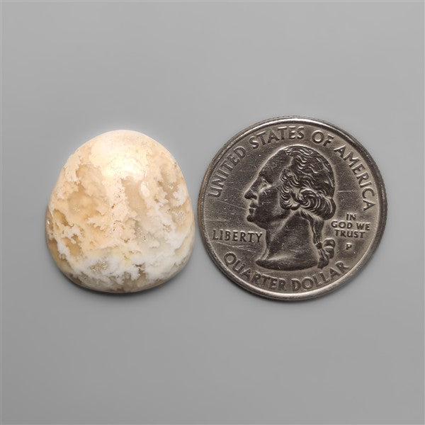 Northridge Plume Agate Cabochon