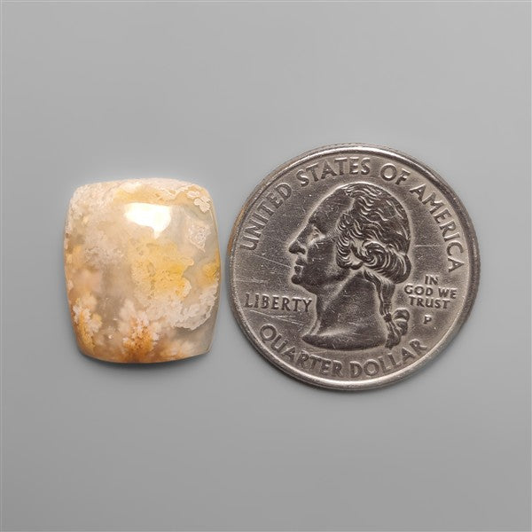 Northridge Plume Agate Cabochon