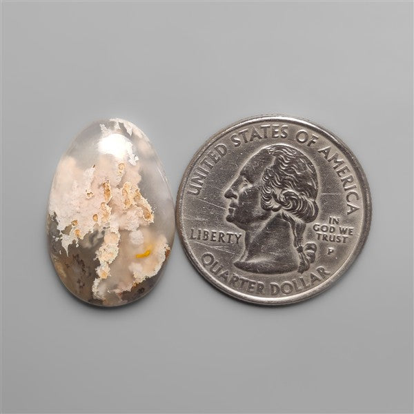 Northridge Plume Agate Cabochon
