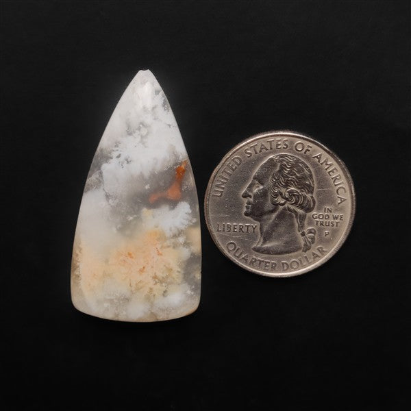 Stinking Water White Plume Agate Cabochon