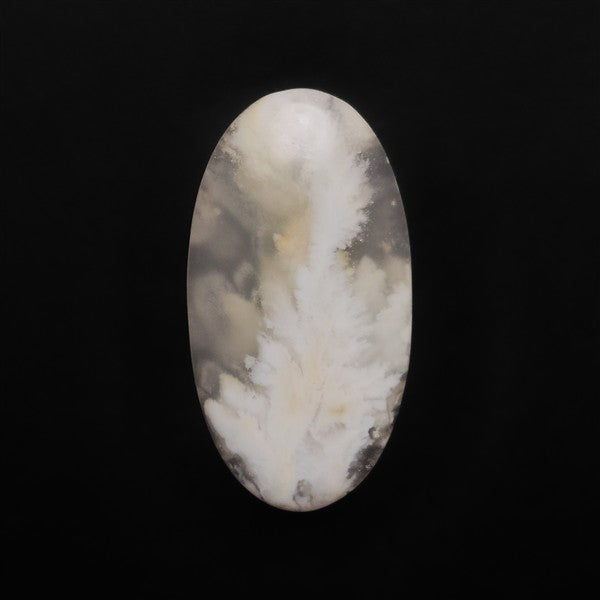 Stinking Water White Plume Agate Cabochon