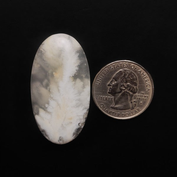 Stinking Water White Plume Agate Cabochon