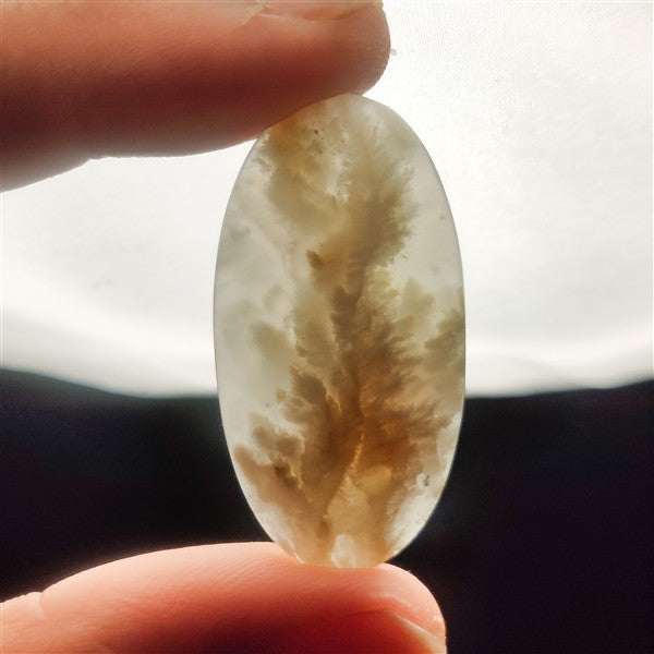 Stinking Water White Plume Agate Cabochon