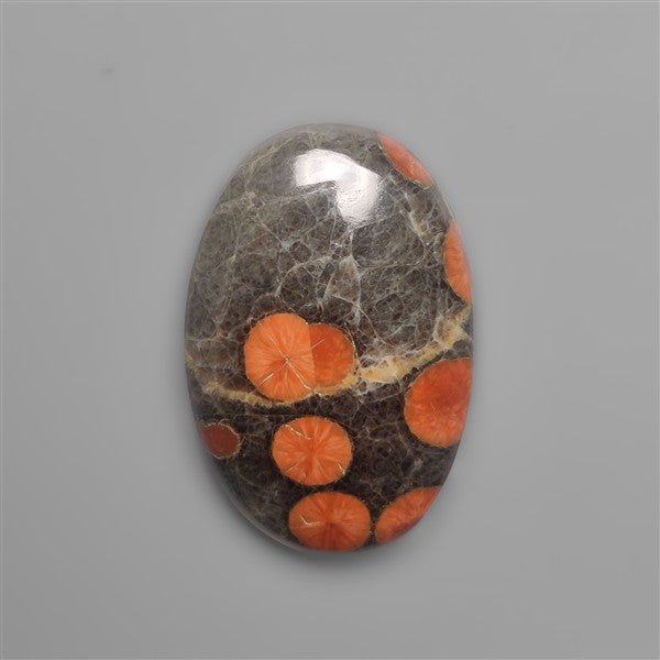 Peanut Wood Obsidian Cabochon