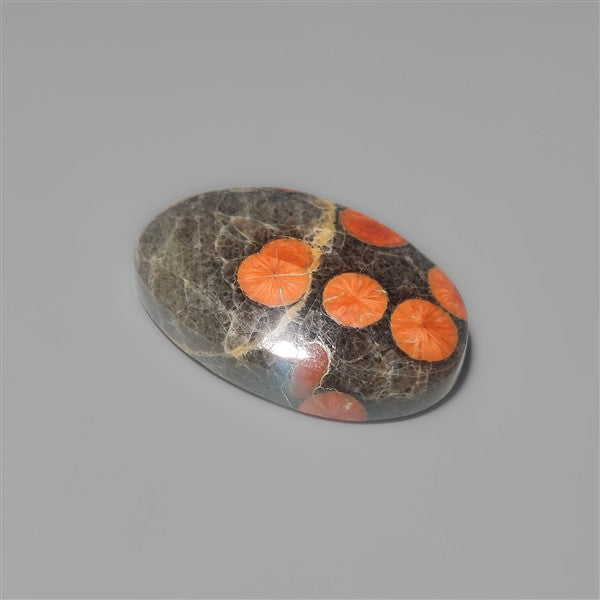 Peanut Wood Obsidian Cabochon