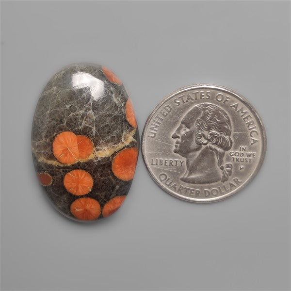 Peanut Wood Obsidian Cabochon