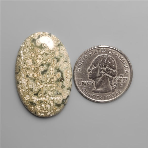 Ocean Jasper Cabochon
