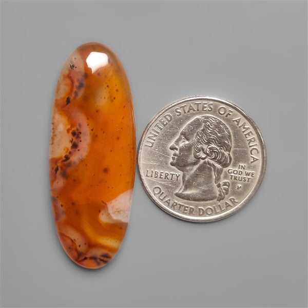 Montana Agate