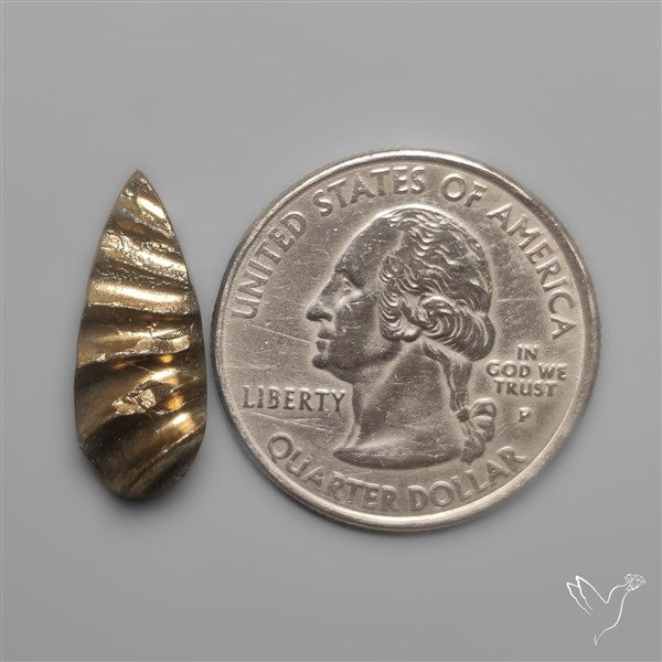 Rare Pyritized Ammonite Negative Fossil Side Cut