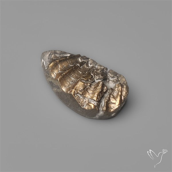 Rare Pyritized Ammonite Negative Fossil Side Cut