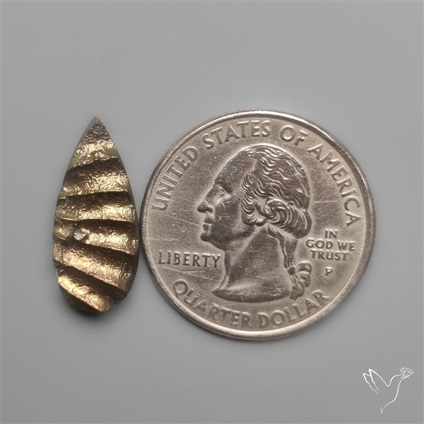 Rare Pyritized Ammonite Negative Fossil Side Cut