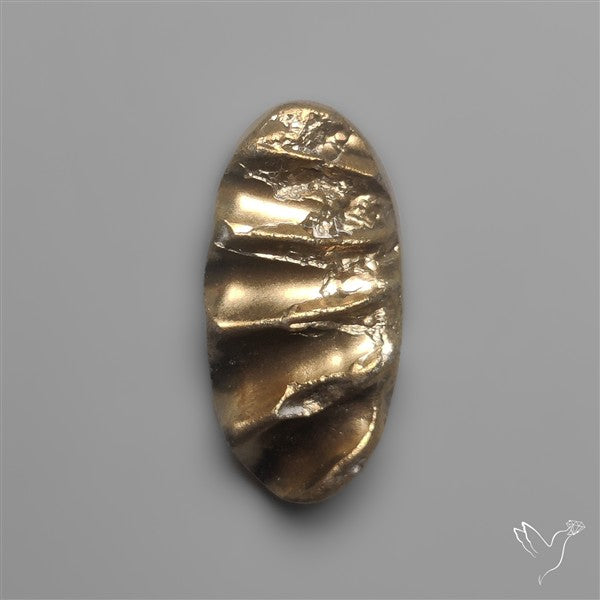 Rare Pyritized Ammonite Negative Fossil Side Cut