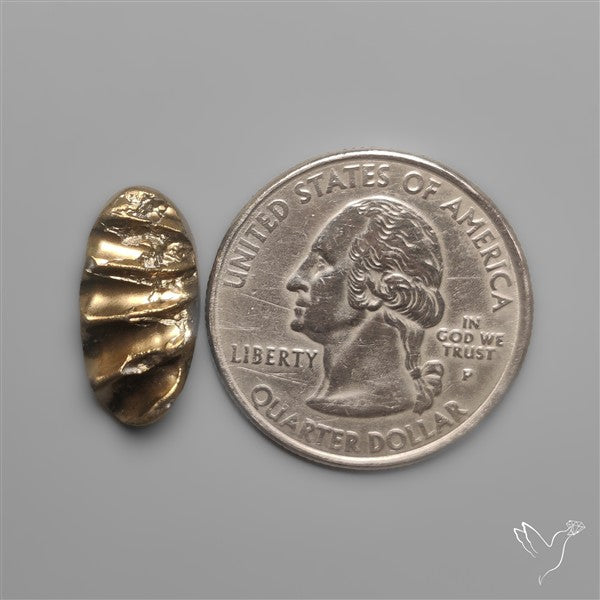 Rare Pyritized Ammonite Negative Fossil Side Cut