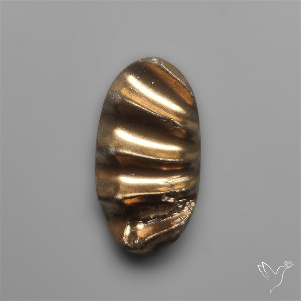Rare Pyritized Ammonite Negative Fossil Side Cut