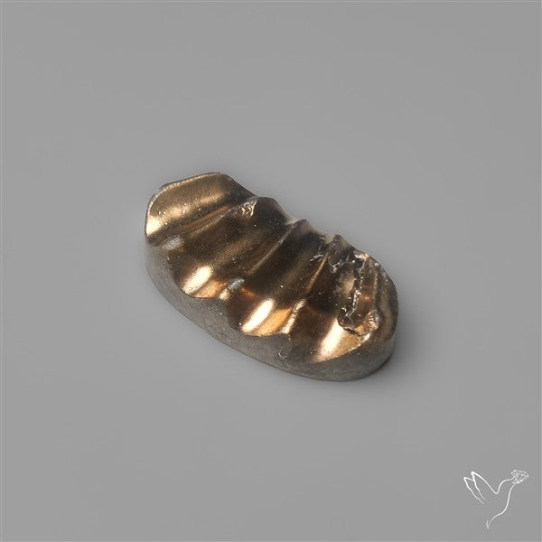 Rare Pyritized Ammonite Negative Fossil Side Cut
