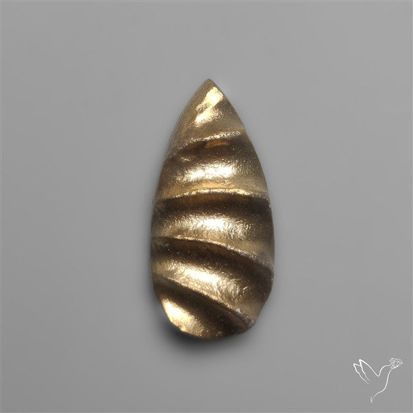 Rare Pyritized Ammonite Negative Fossil Side Cut