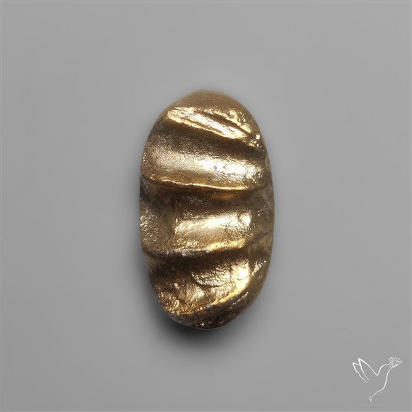 Rare Pyritized Ammonite Negative Fossil Side Cut