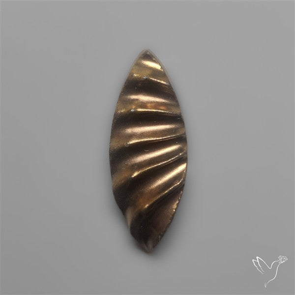 Rare Pyritized Ammonite Negative Fossil Side Cut