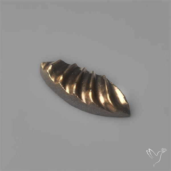 Rare Pyritized Ammonite Negative Fossil Side Cut