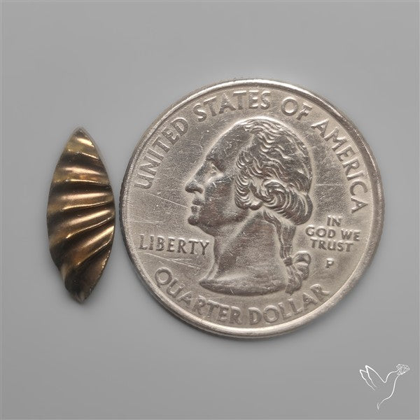 Rare Pyritized Ammonite Negative Fossil Side Cut