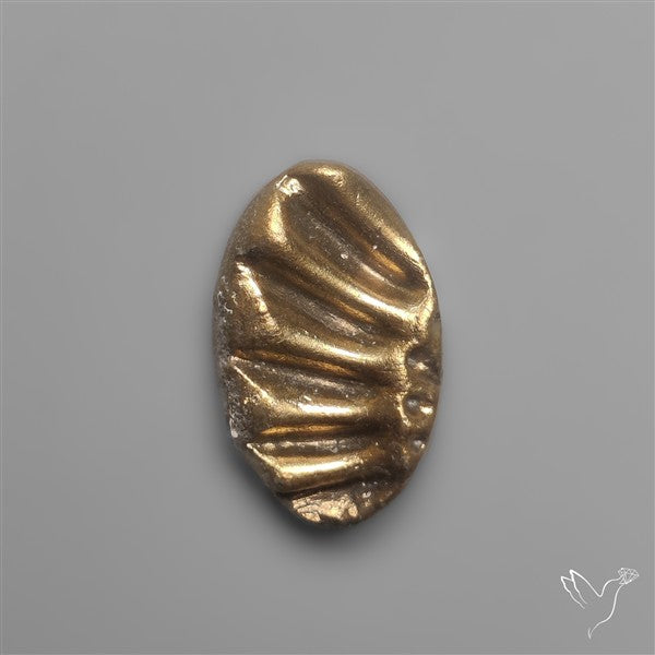 Rare Pyritized Ammonite Negative Fossil Side Cut