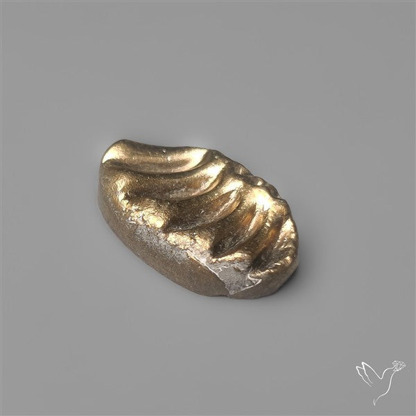 Rare Pyritized Ammonite Negative Fossil Side Cut