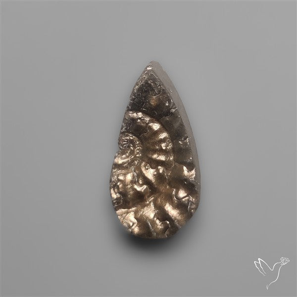 Rare Pyritized Ammonite Negative Fossil Side Cut