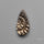 Rare Pyritized Ammonite Negative Fossil Side Cut