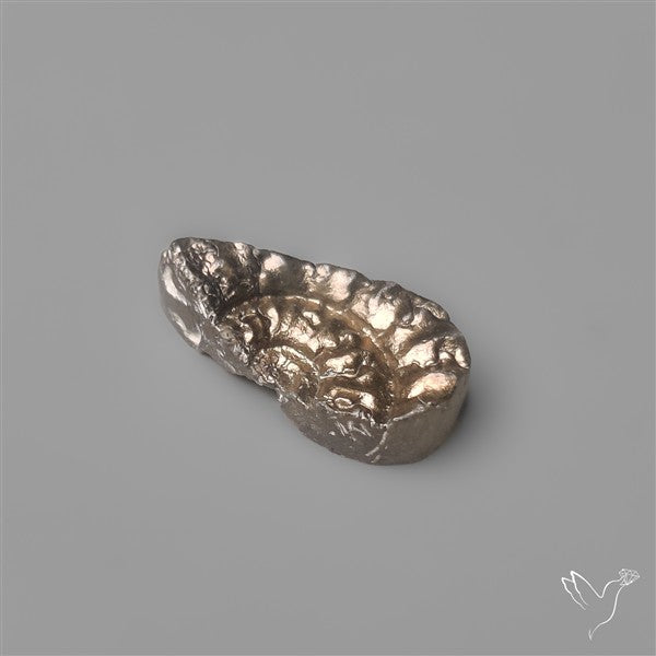Rare Pyritized Ammonite Negative Fossil Side Cut