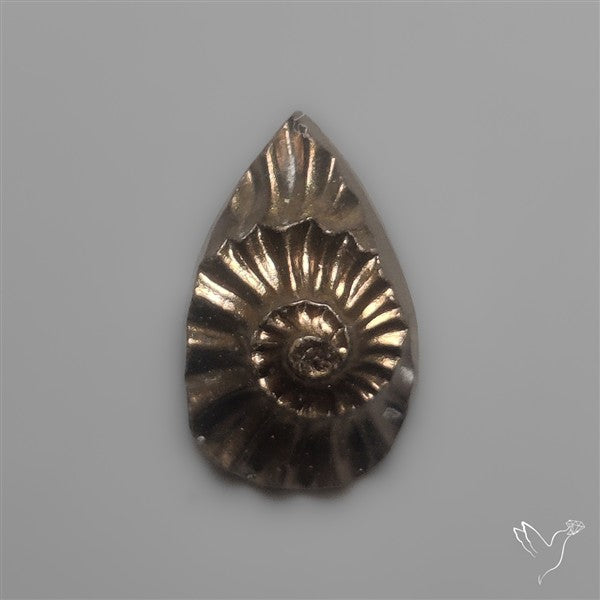 Tiny Rare Pyritized Ammonite Negative Fossil