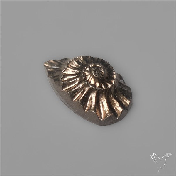 Tiny Rare Pyritized Ammonite Negative Fossil