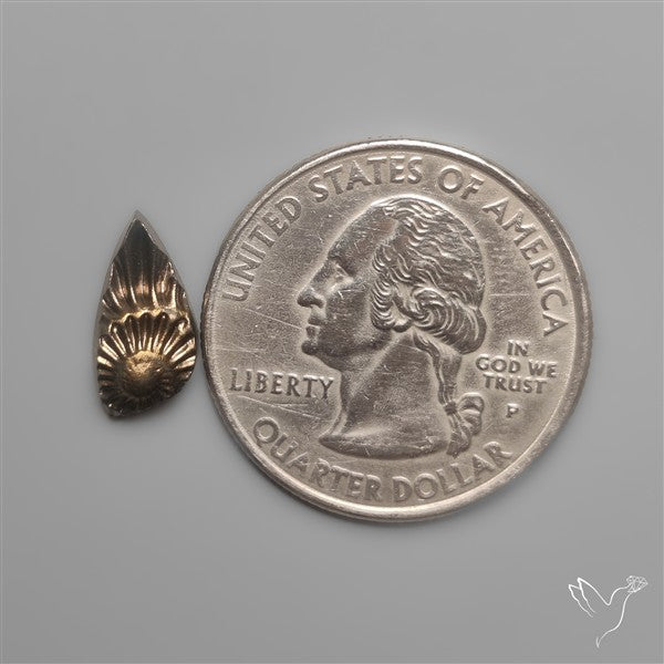 Tiny Rare Pyritized Ammonite Negative Fossil