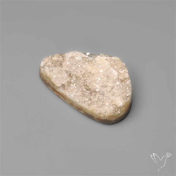 Rare Petrified Wood Druzy Arizona