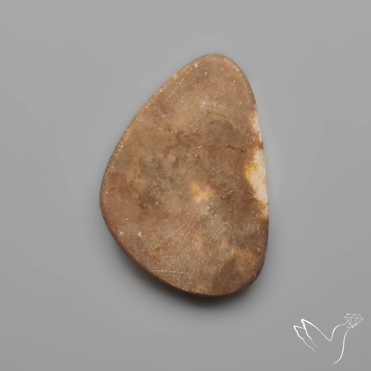 Rare Petrified Wood Druzy Arizona