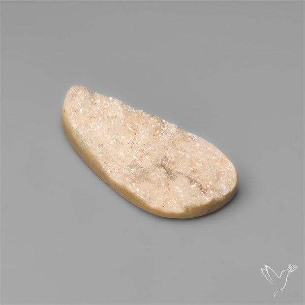 Rare Petrified Wood Druzy Arizona