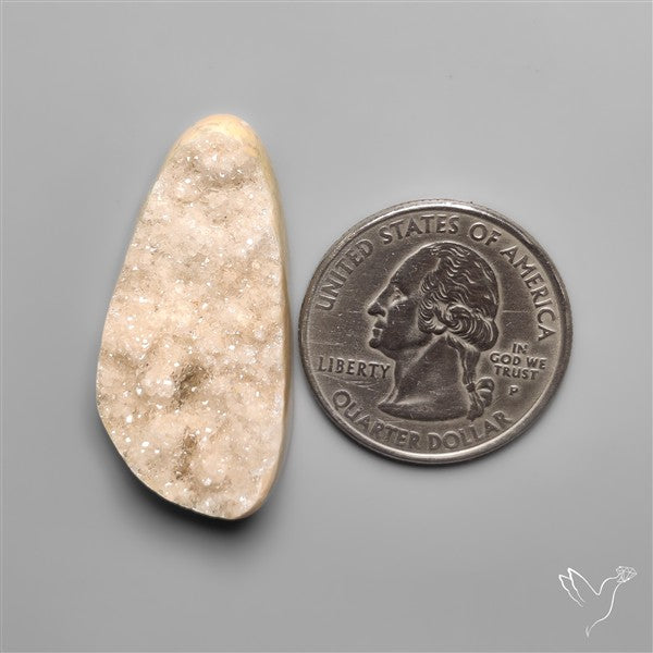Rare Petrified Wood Druzy Arizona