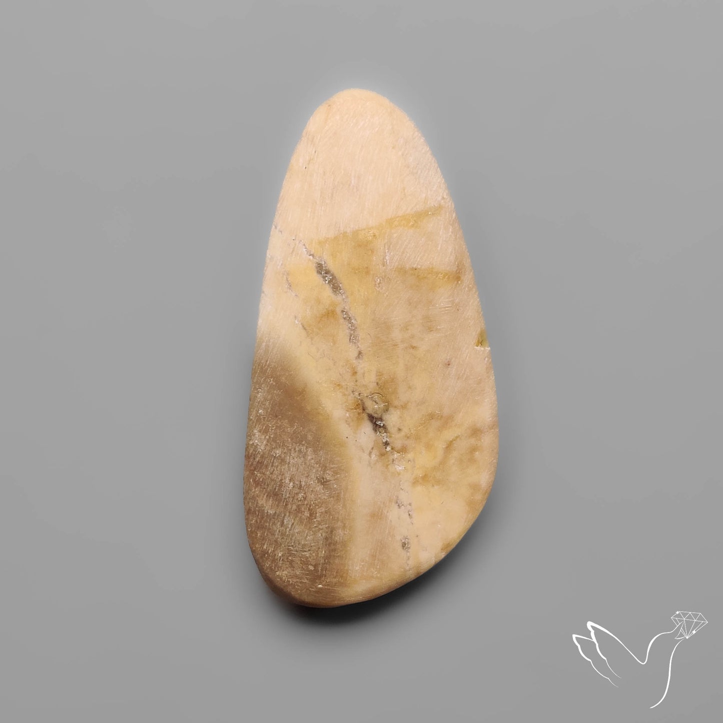 Rare Petrified Wood Druzy Arizona