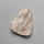 Rare Petrified Wood Druzy Arizona