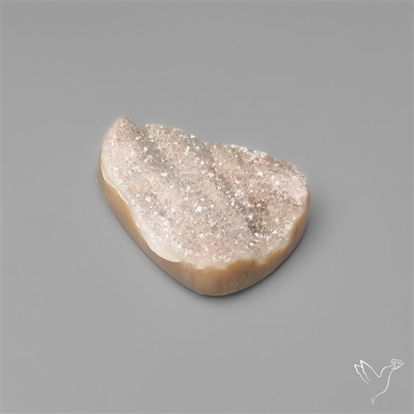 Rare Petrified Wood Druzy Arizona