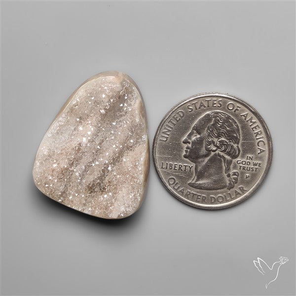 Rare Petrified Wood Druzy Arizona