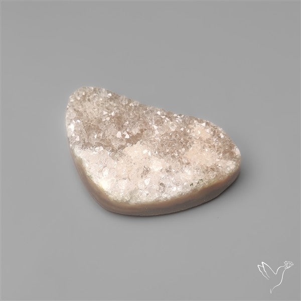 Rare Petrified Wood Druzy Arizona