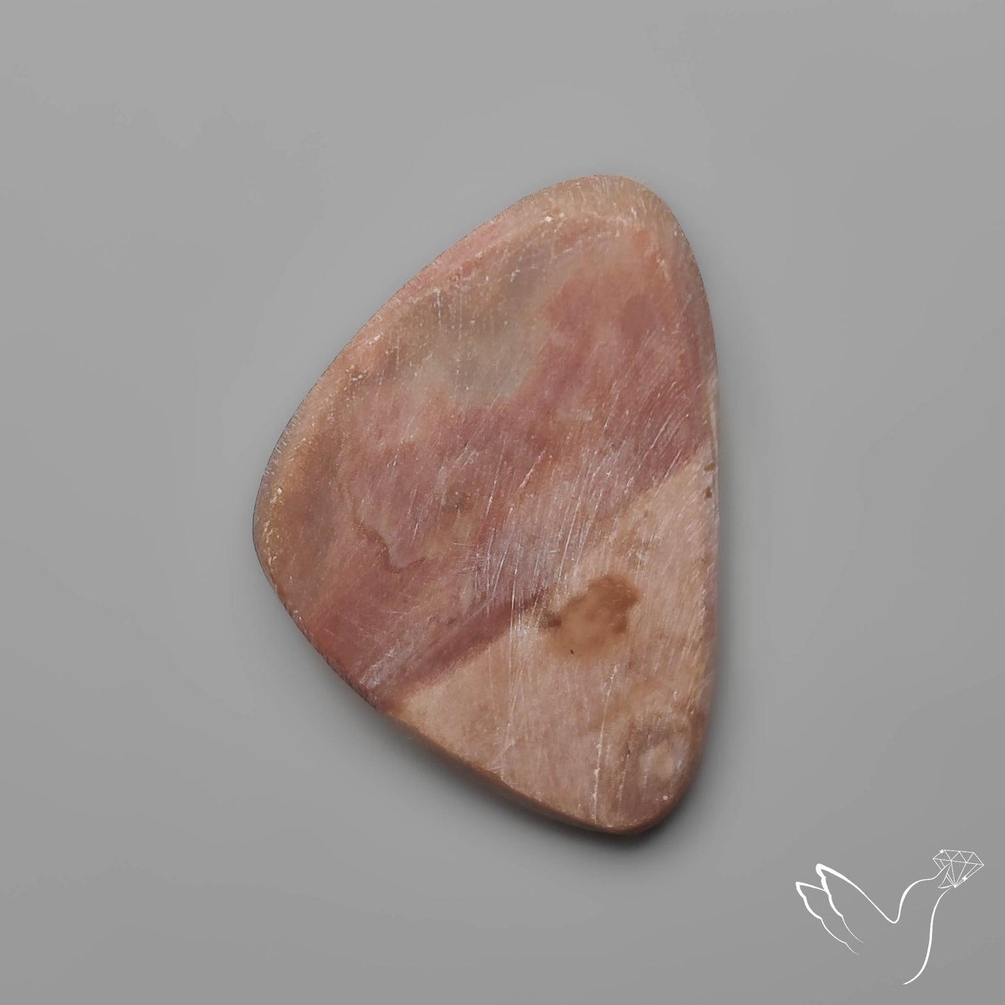 Rare Petrified Wood Druzy Arizona