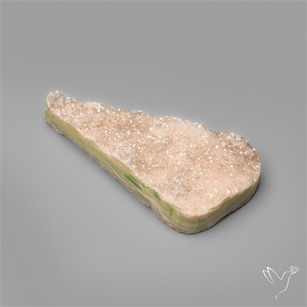 Rare Petrified Wood Druzy Arizona