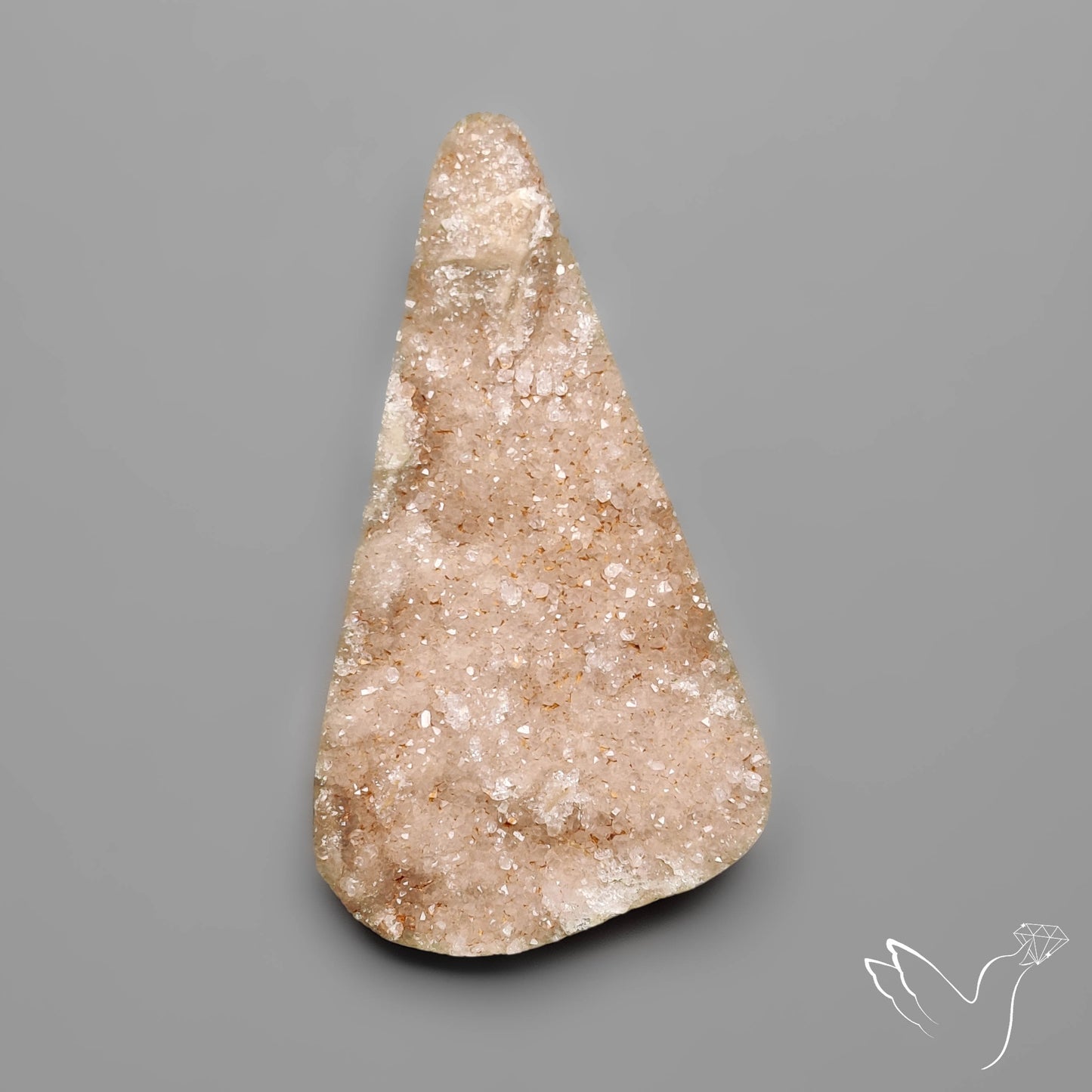 Rare Petrified Wood Druzy Arizona