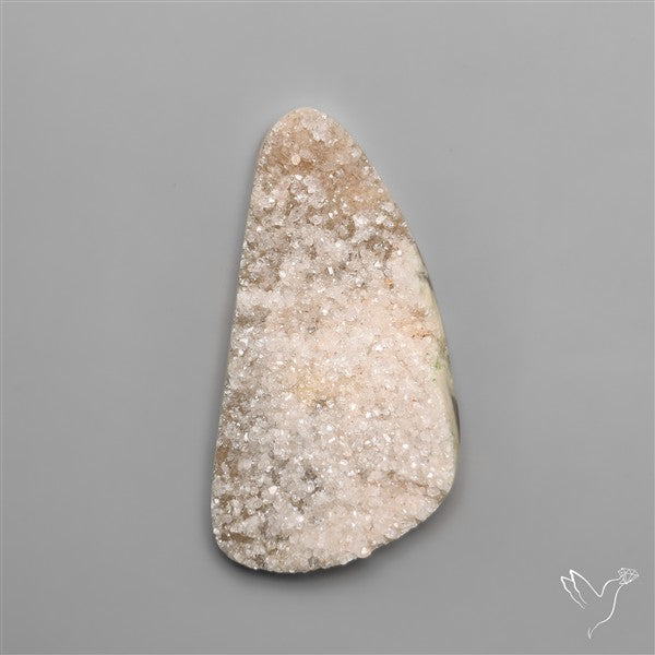 Rare Petrified Wood Druzy Arizona