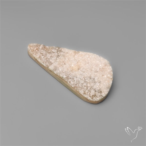 Rare Petrified Wood Druzy Arizona