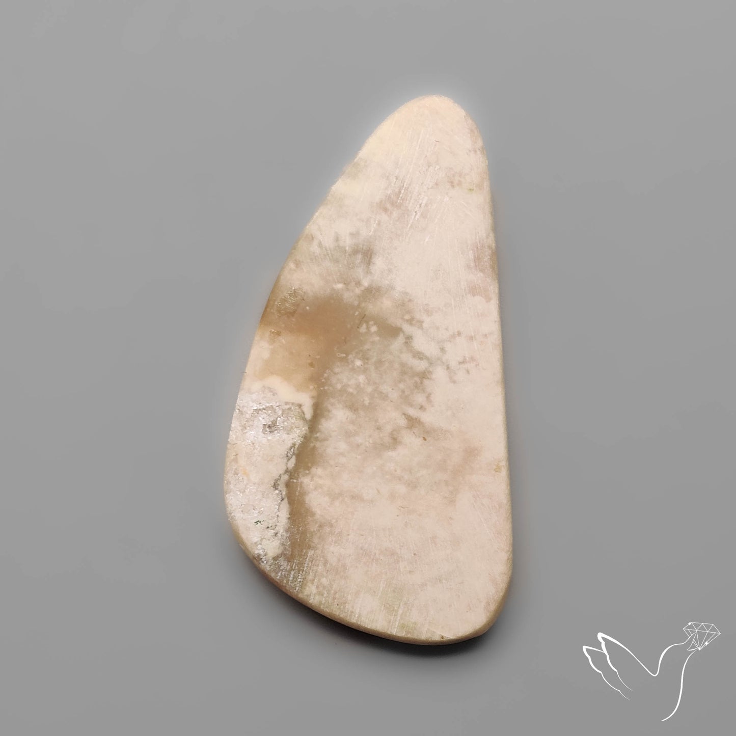 Rare Petrified Wood Druzy Arizona