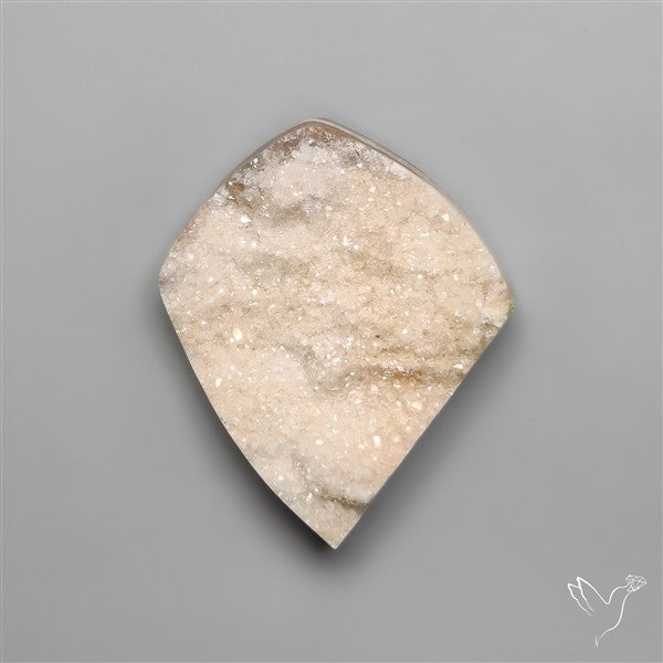 Rare Petrified Wood Druzy Arizona