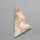 Rare Petrified Wood Druzy Arizona